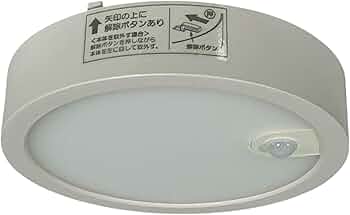 61HXuC+1fBL._AC_UF350,